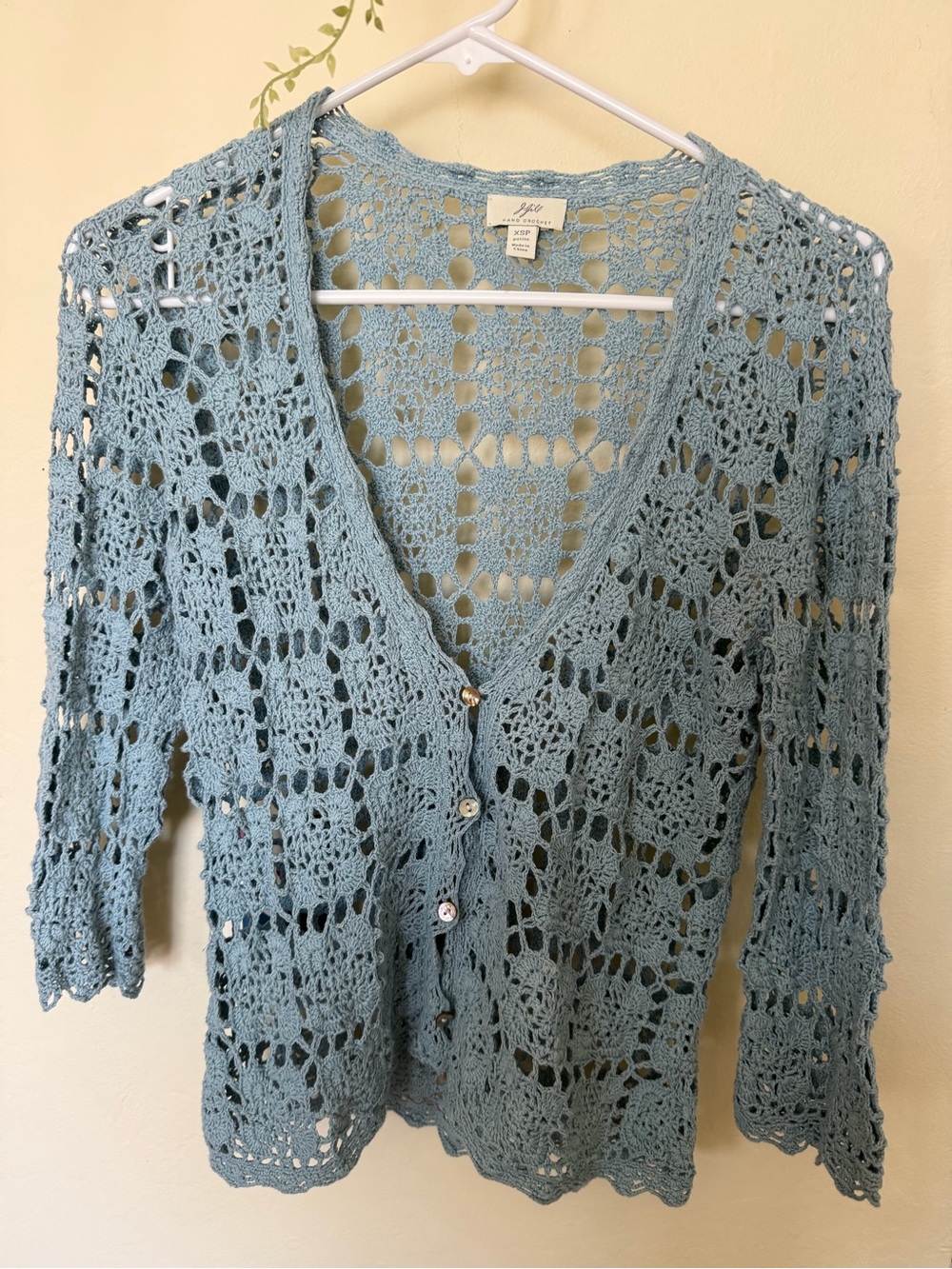 J.Jill Hand Crochet Lace Button-Front Cardigan Sweater - Pale Blue